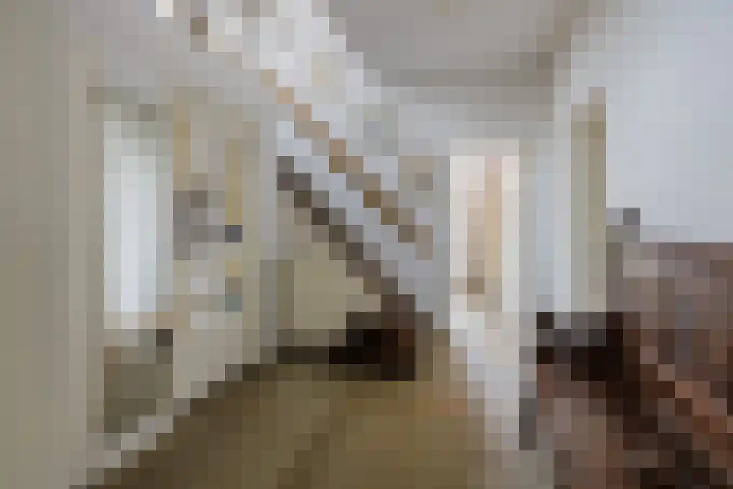Javastraat 4 Alphen aan den Rijn thumbnail 17