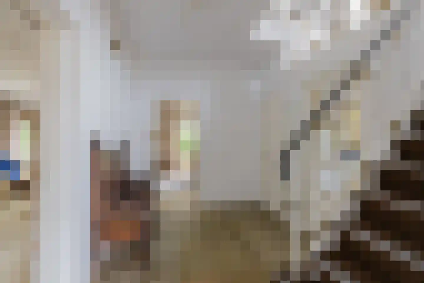 Javastraat 4 Alphen aan den Rijn thumbnail 18