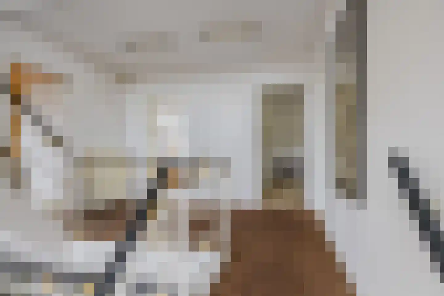 Javastraat 4 Alphen aan den Rijn thumbnail 23
