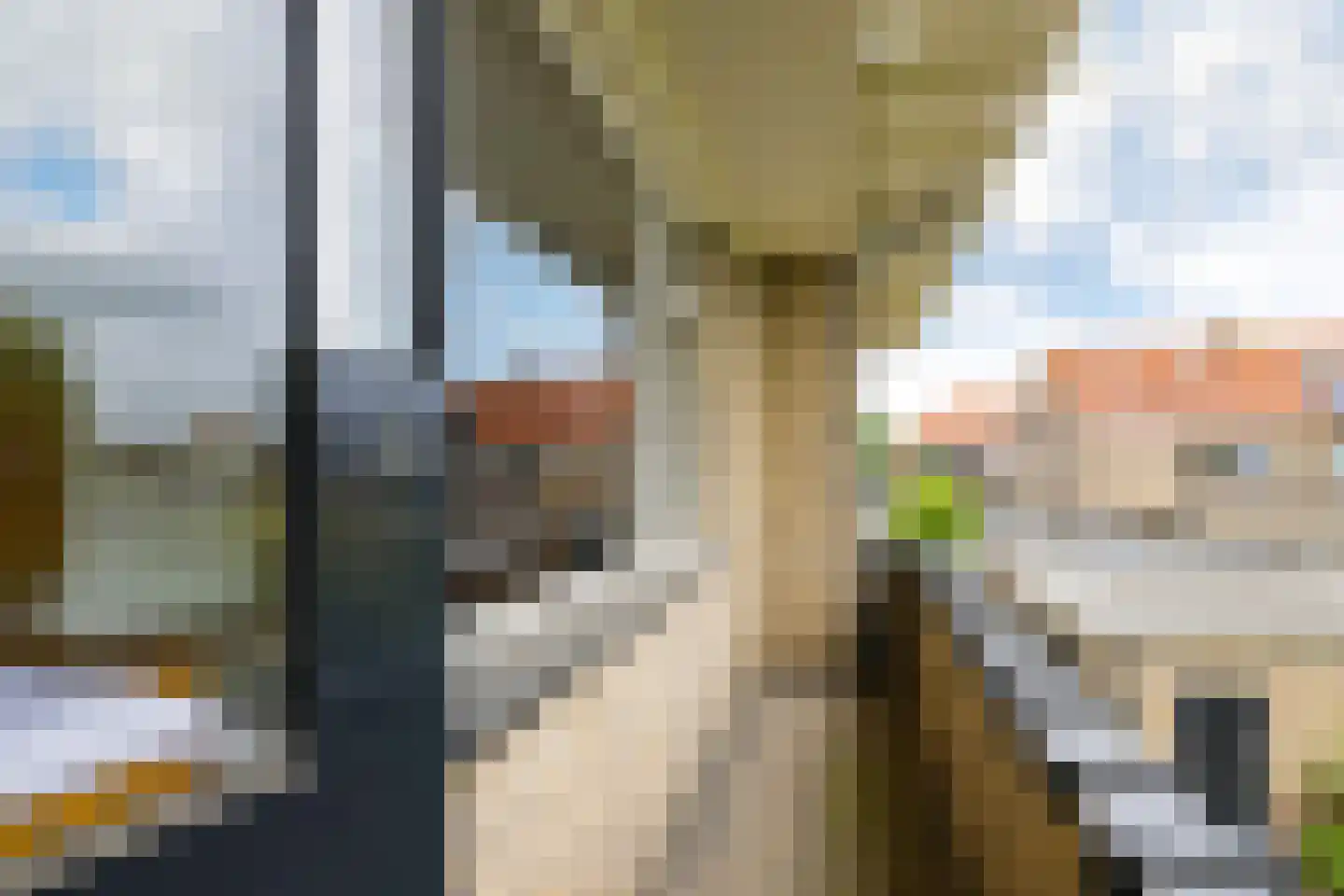 Javastraat 4 Alphen aan den Rijn thumbnail 31