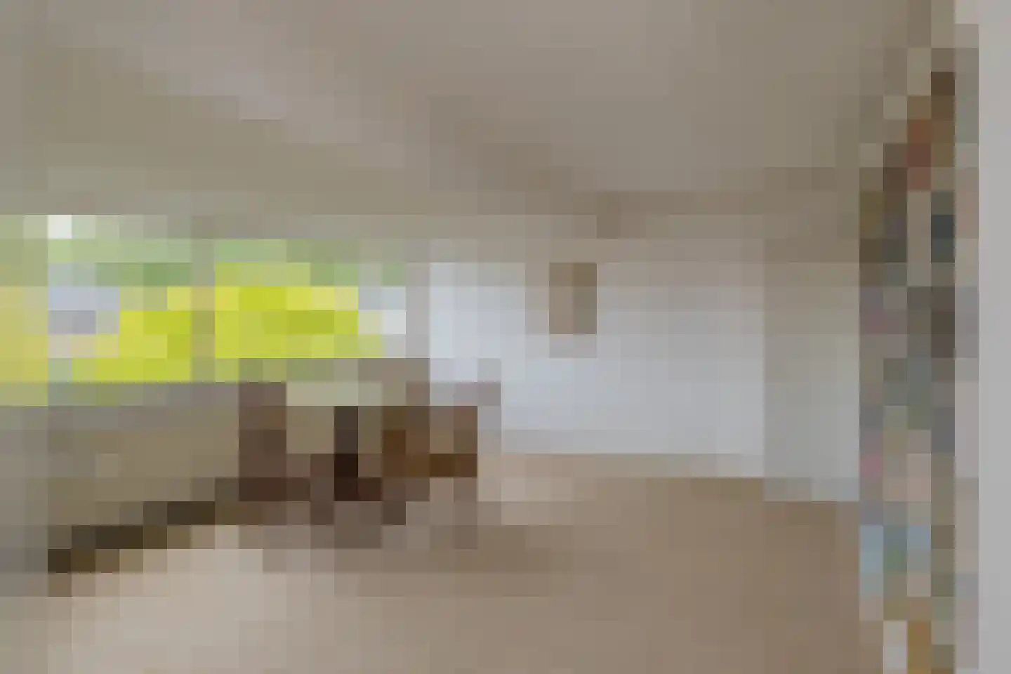 Javastraat 4 Alphen aan den Rijn thumbnail 37
