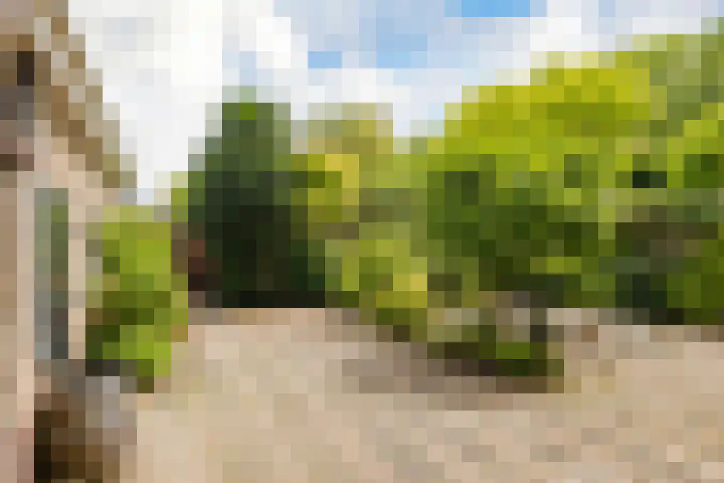 Javastraat 4 Alphen aan den Rijn thumbnail 47