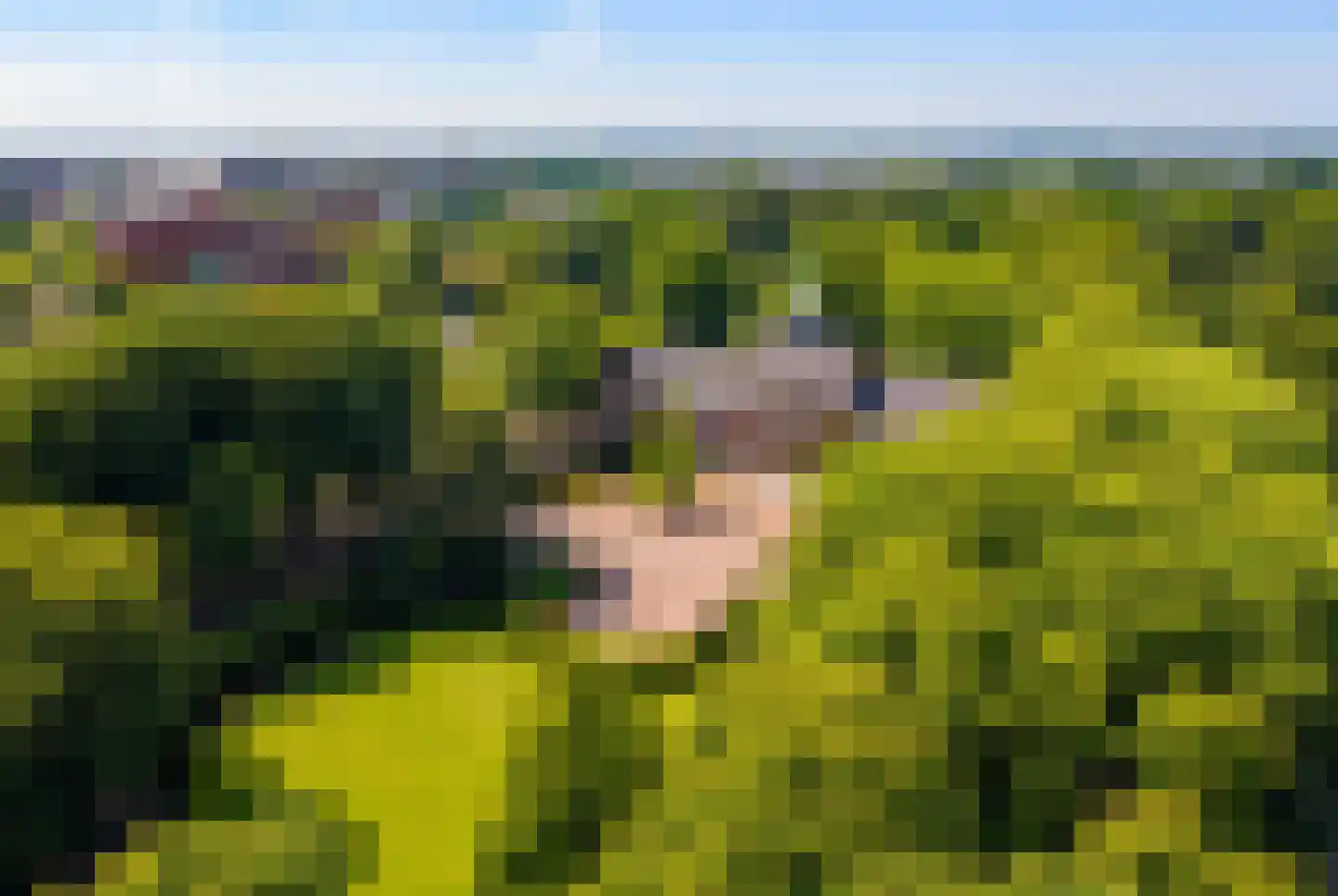 Javastraat 4 Alphen aan den Rijn thumbnail 52