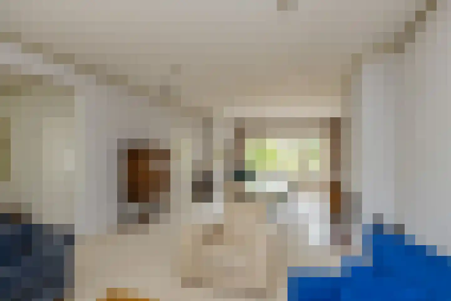 Javastraat 4 Alphen aan den Rijn thumbnail 6