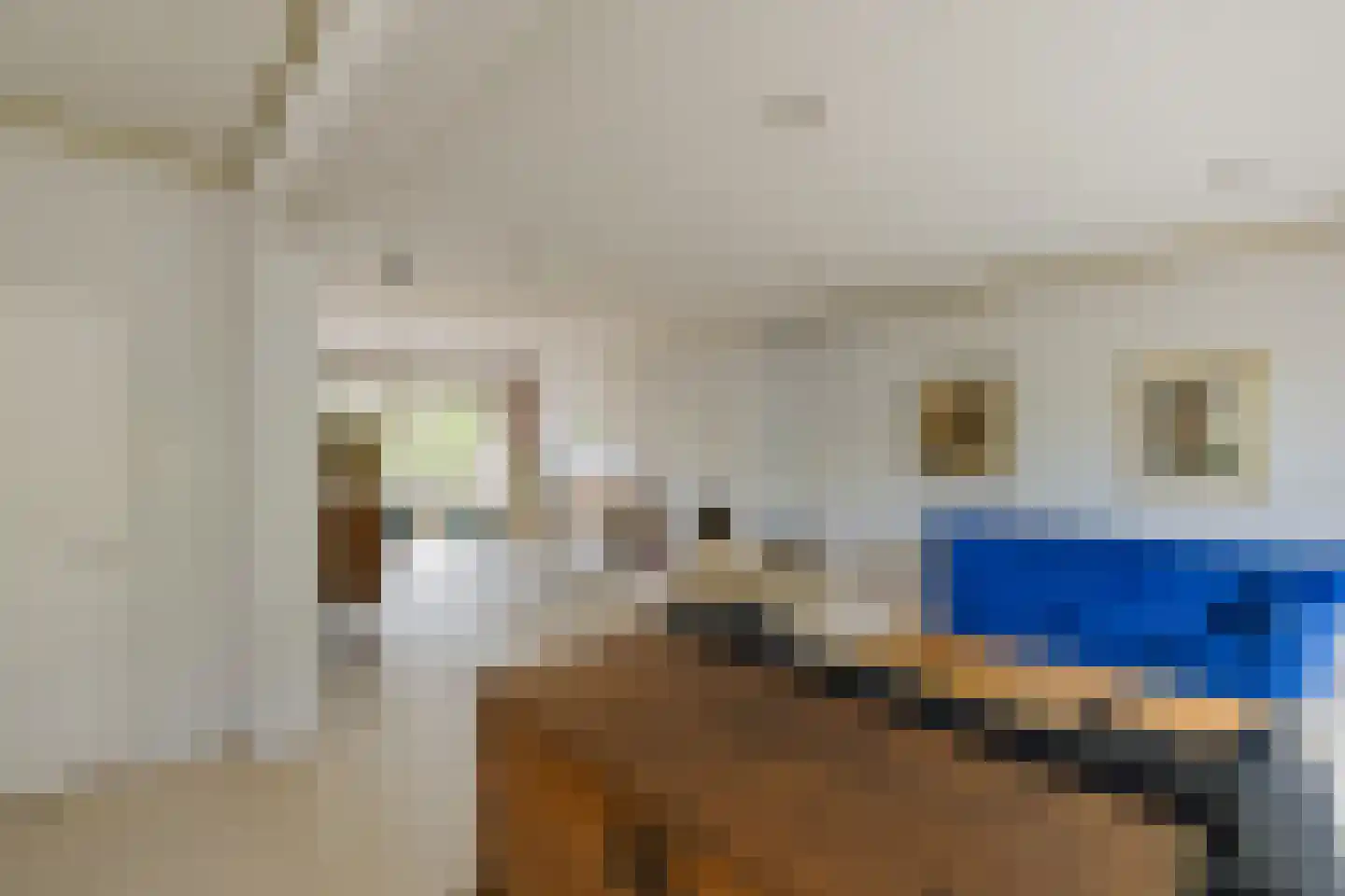 Javastraat 4 Alphen aan den Rijn thumbnail 8
