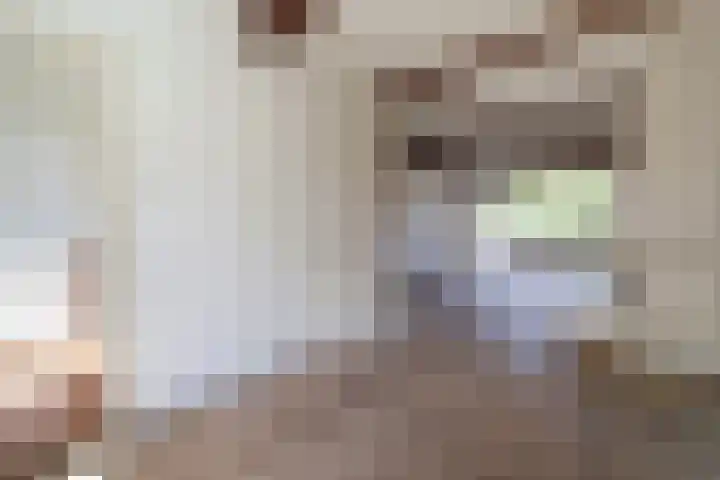 Javastraat 4 Amersfoort thumbnail 10