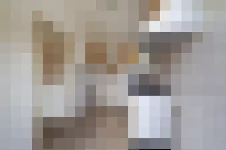 Javastraat 4 Amersfoort thumbnail 12