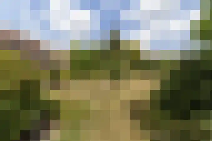 Javastraat 4 Amersfoort thumbnail 24