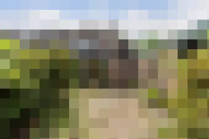 Javastraat 4 Amersfoort thumbnail 25