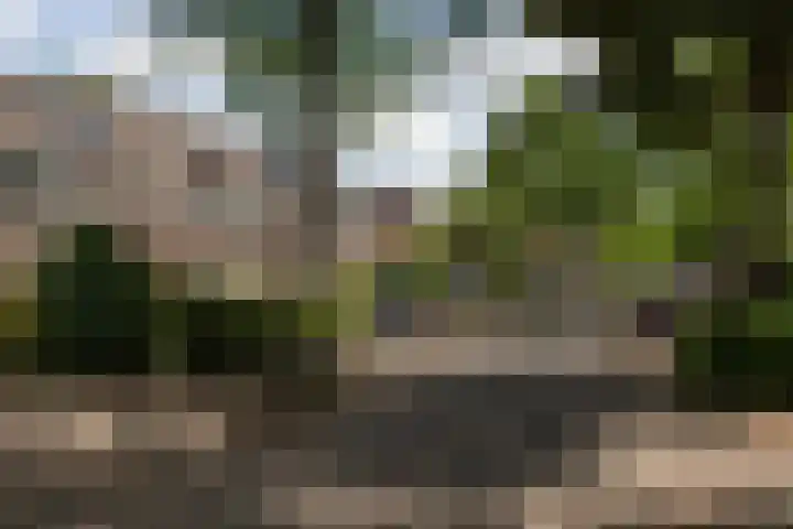 Javastraat 4 Amersfoort thumbnail 27