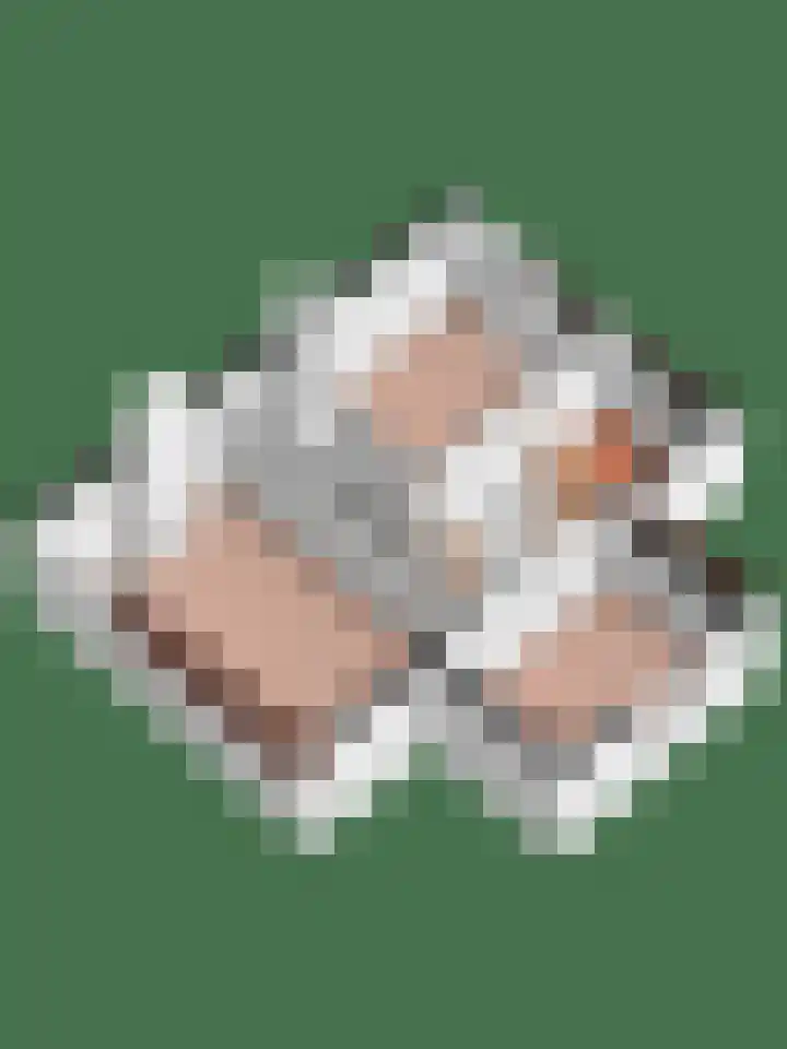 Javastraat 4 Amersfoort thumbnail 36