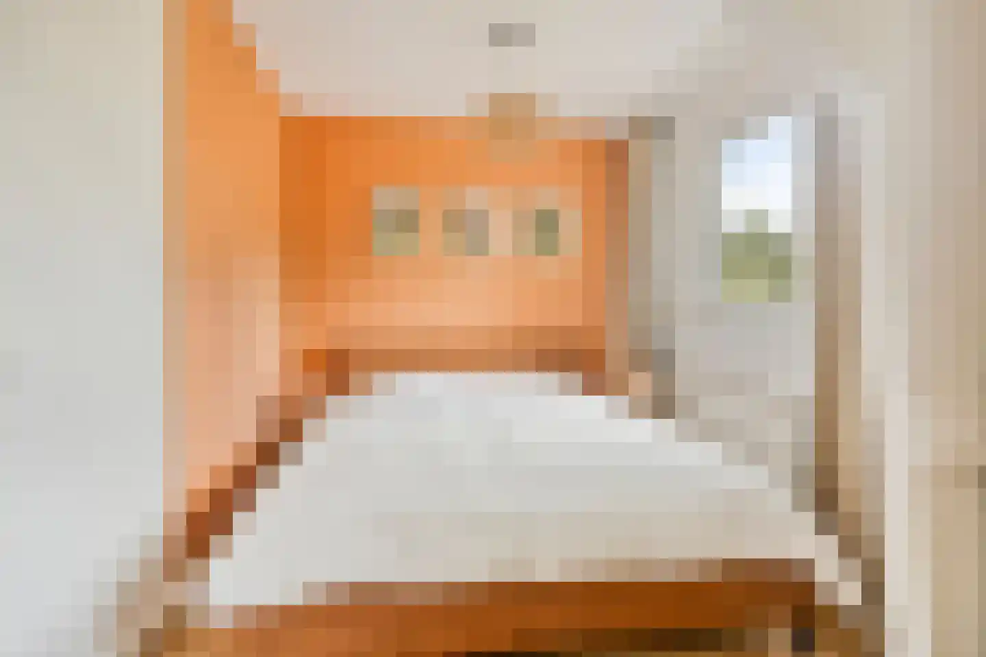 Javastraat 40 Tilburg thumbnail 14