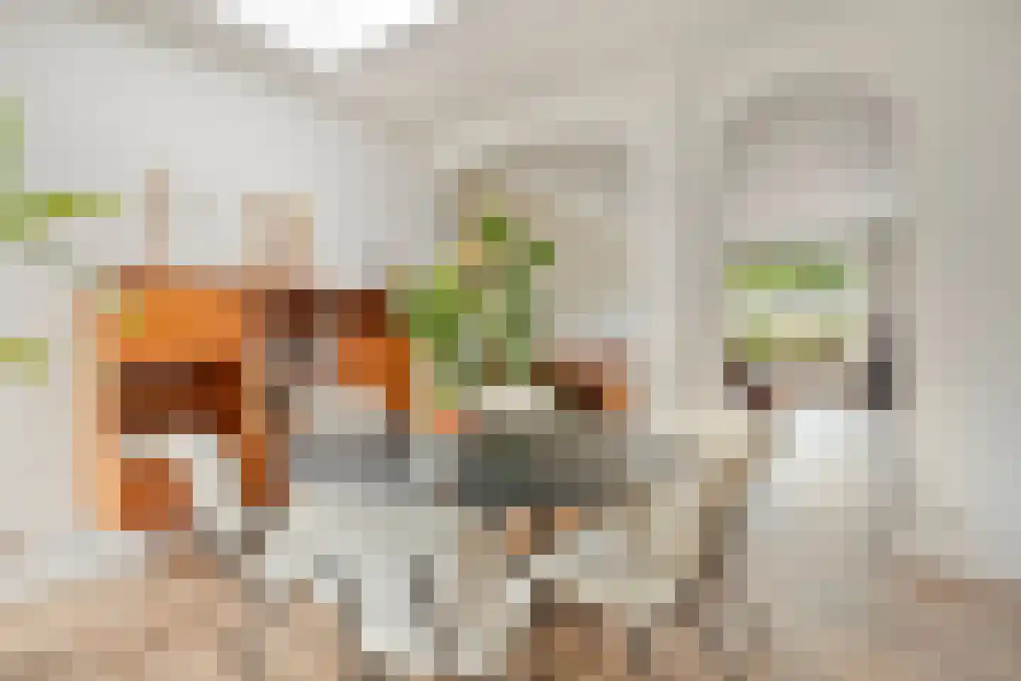 Javastraat 40 Tilburg thumbnail 4