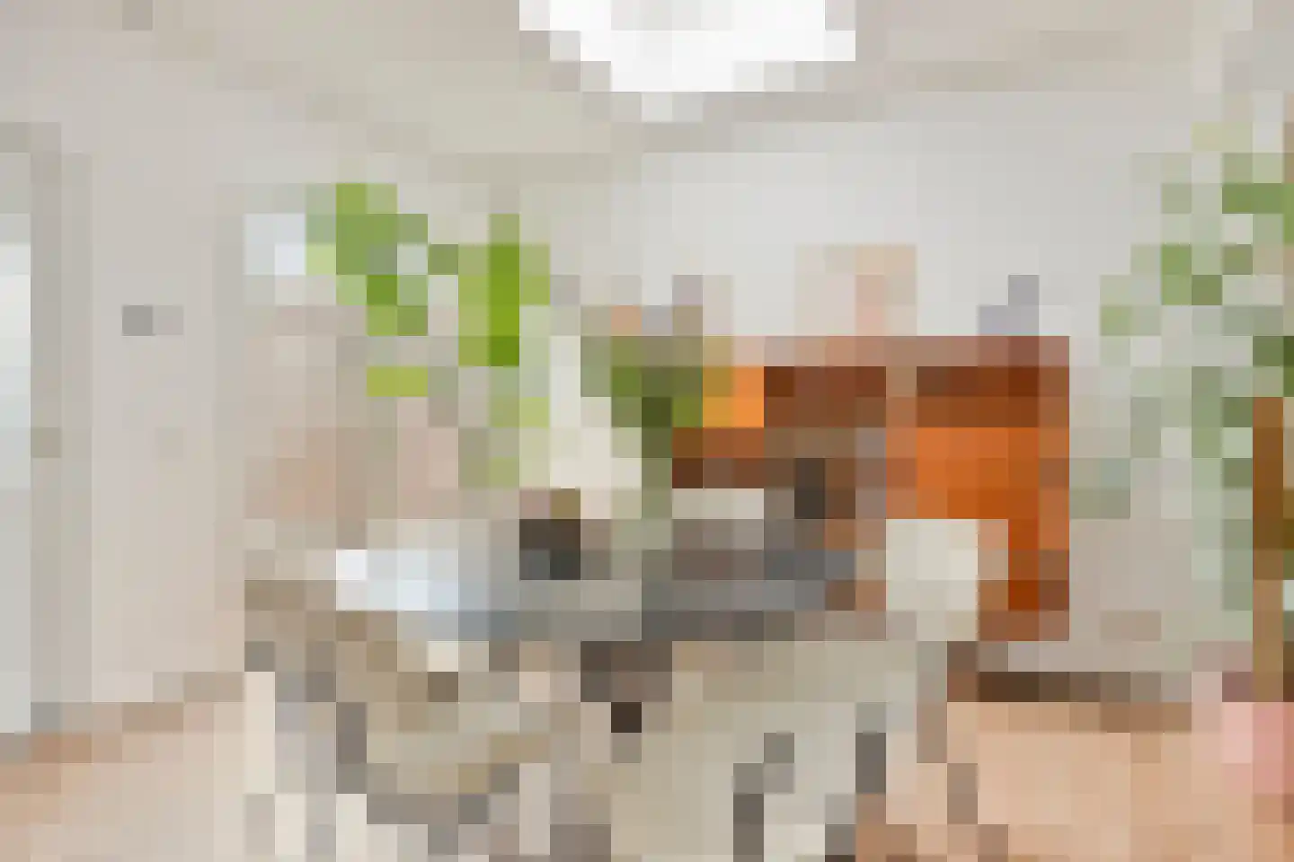 Javastraat 40 Tilburg thumbnail 8