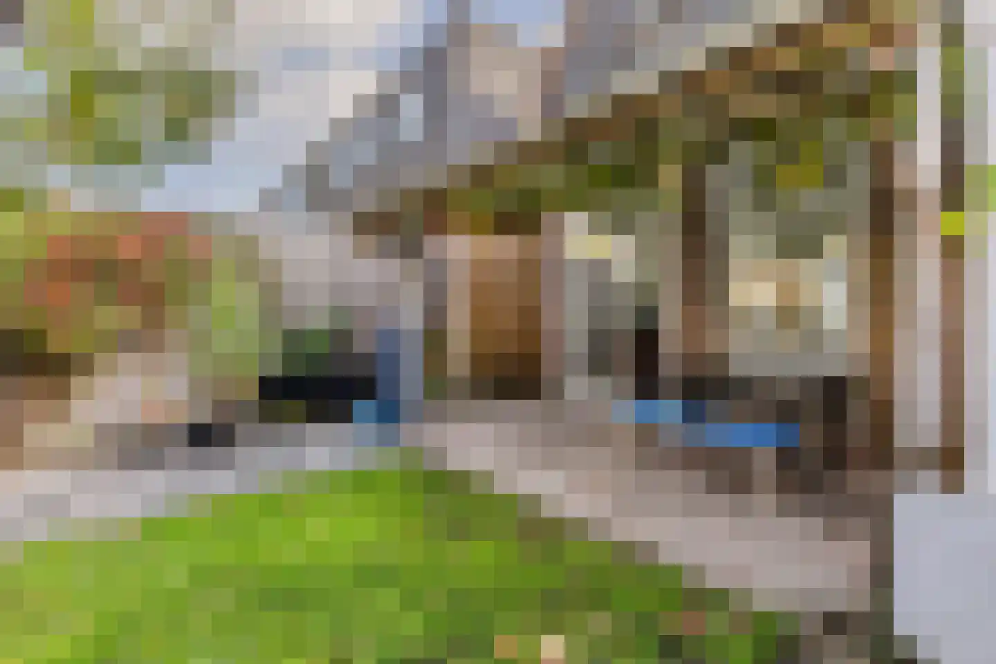 Javastraat 40 Wormerveer thumbnail 13