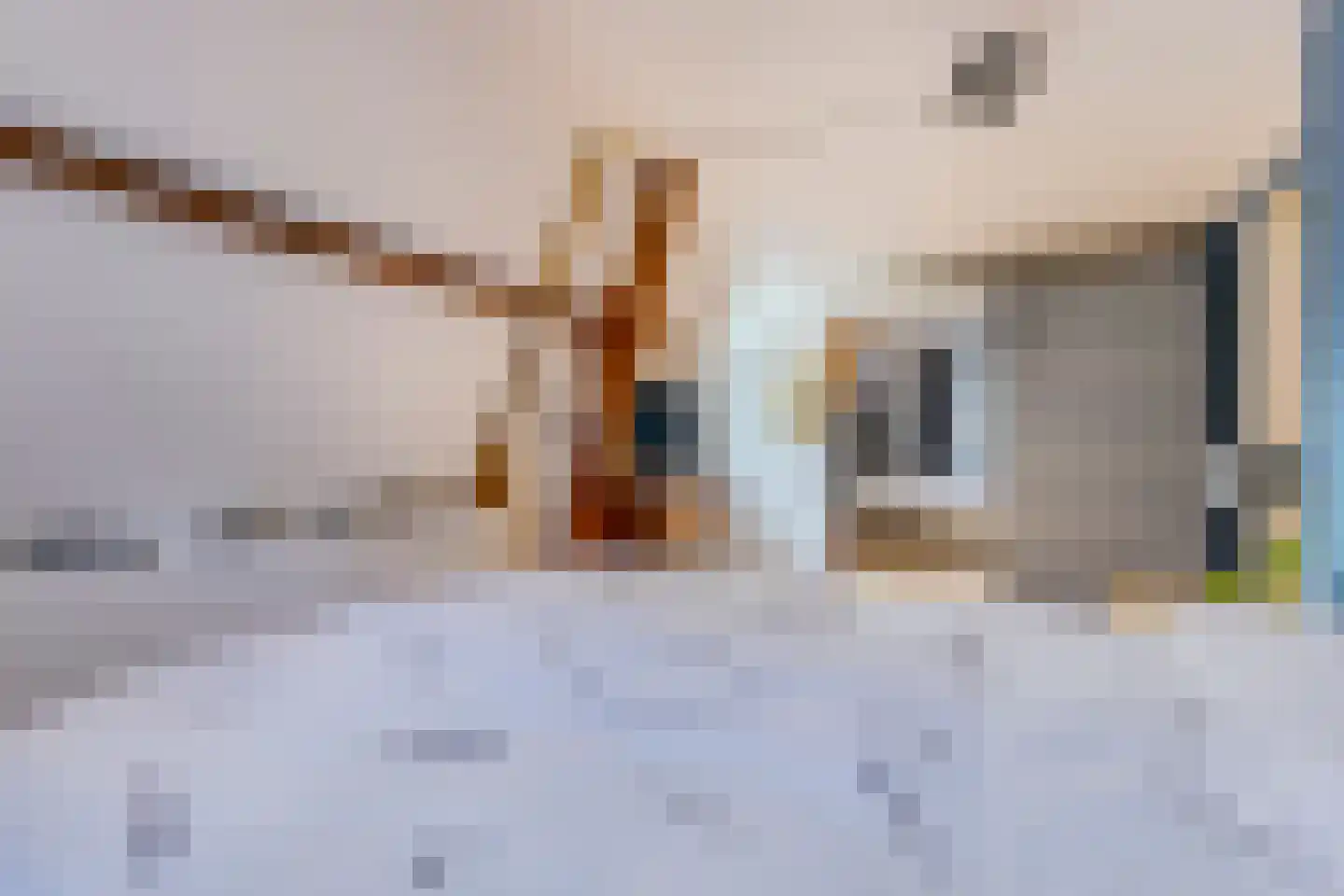 Javastraat 40 Wormerveer thumbnail 19