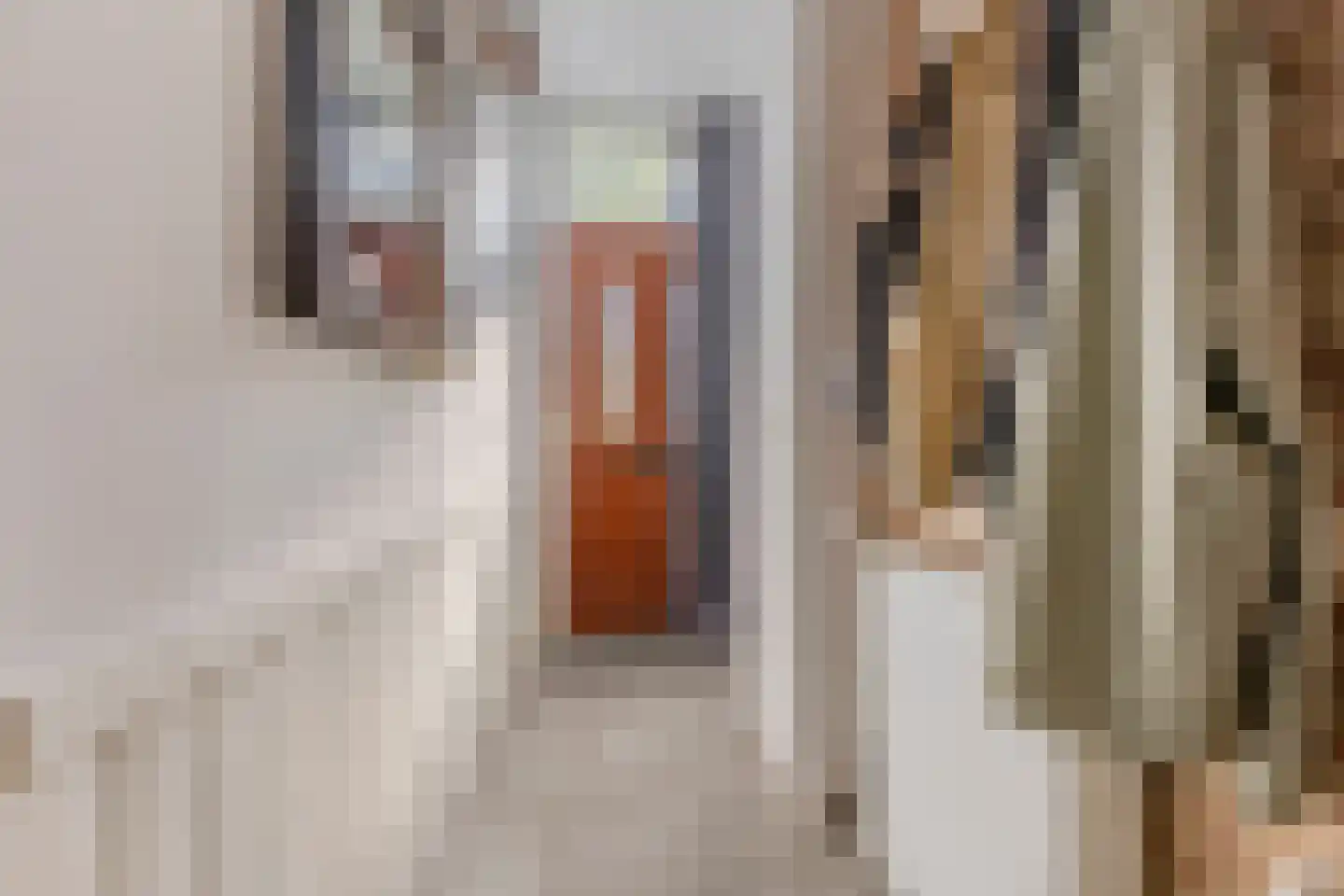 Javastraat 40 Wormerveer thumbnail 25