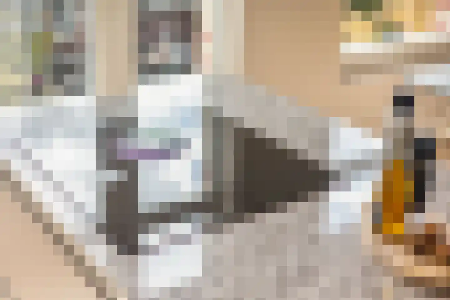 Javastraat 41 3 Amsterdam thumbnail 11
