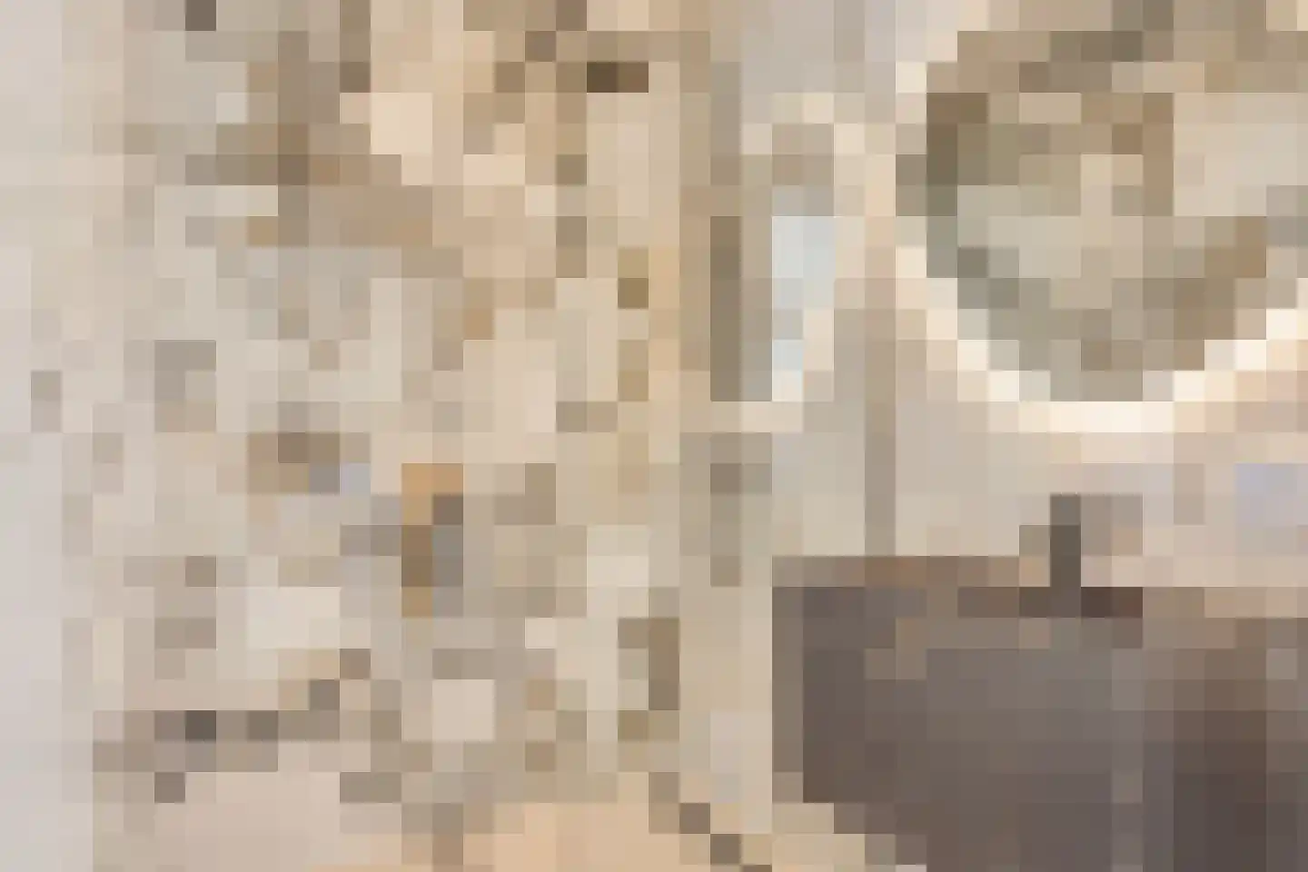 Javastraat 41 3 Amsterdam thumbnail 23