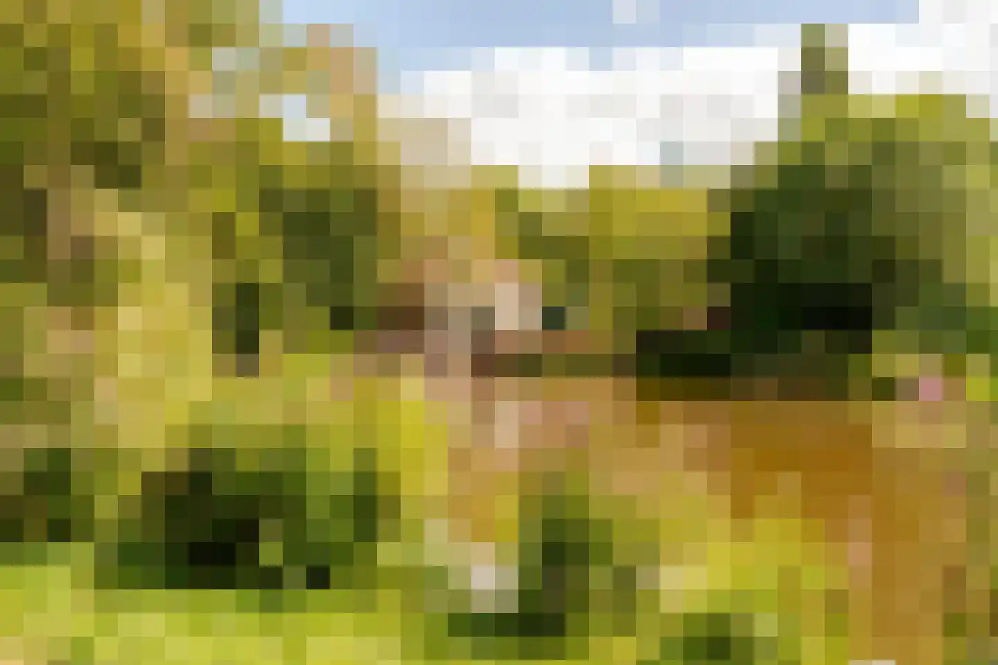 Javastraat 41 3 Amsterdam thumbnail 36