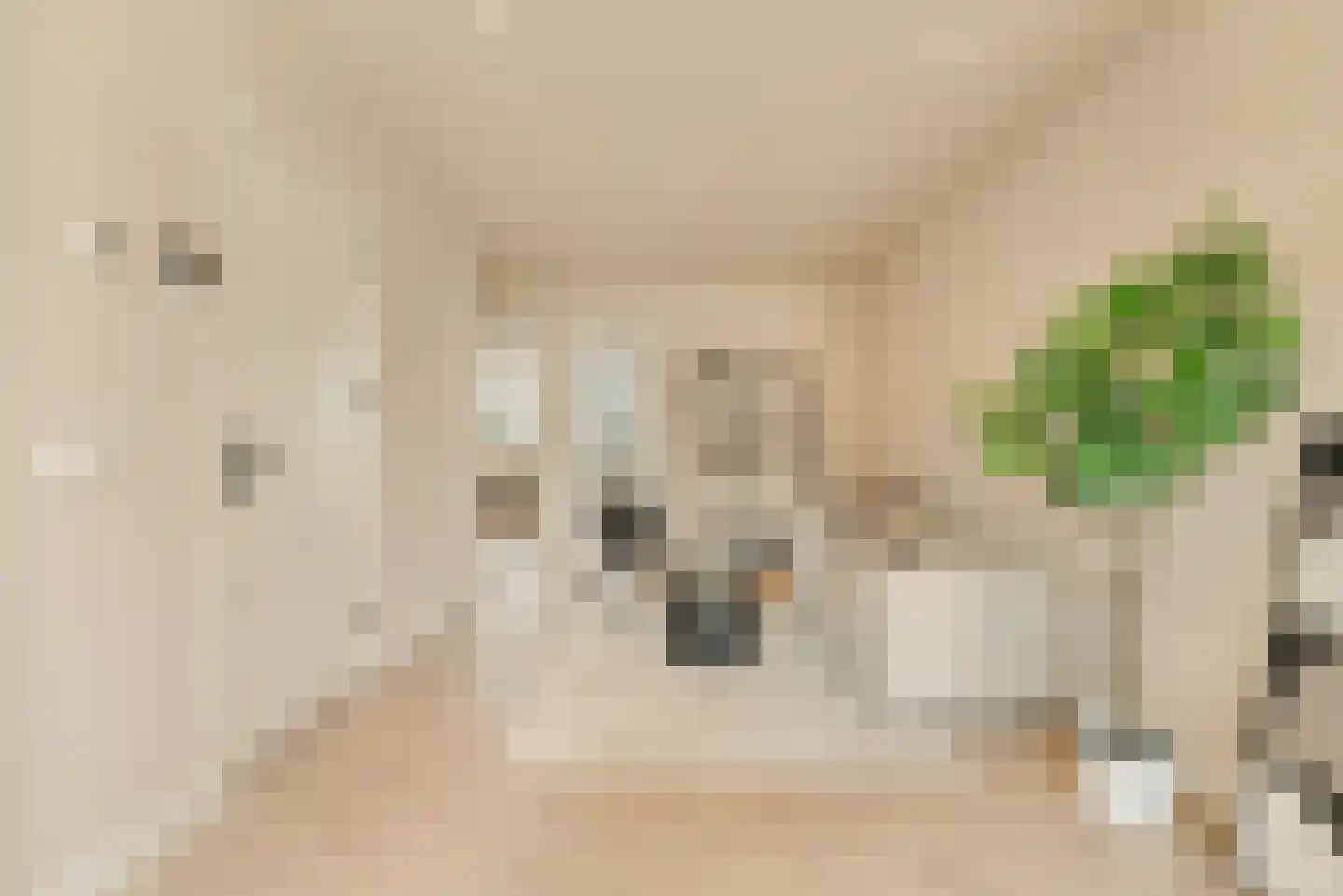 Javastraat 41 3 Amsterdam thumbnail 9