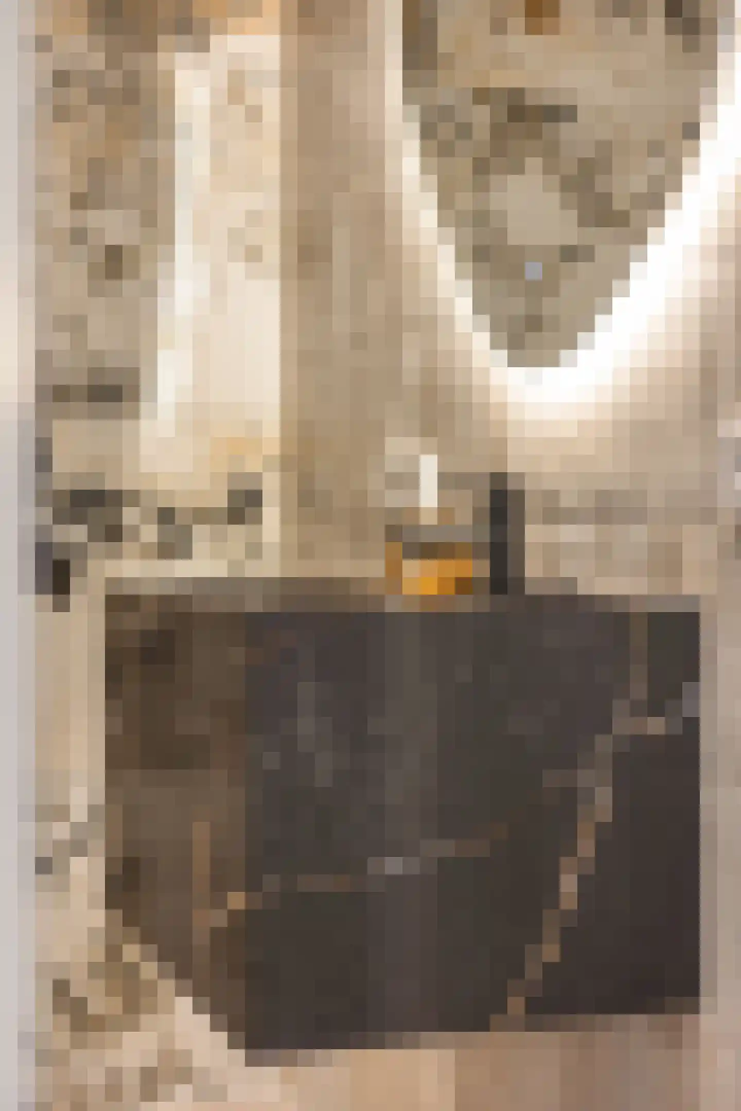 Javastraat 41 4B Amsterdam thumbnail 22