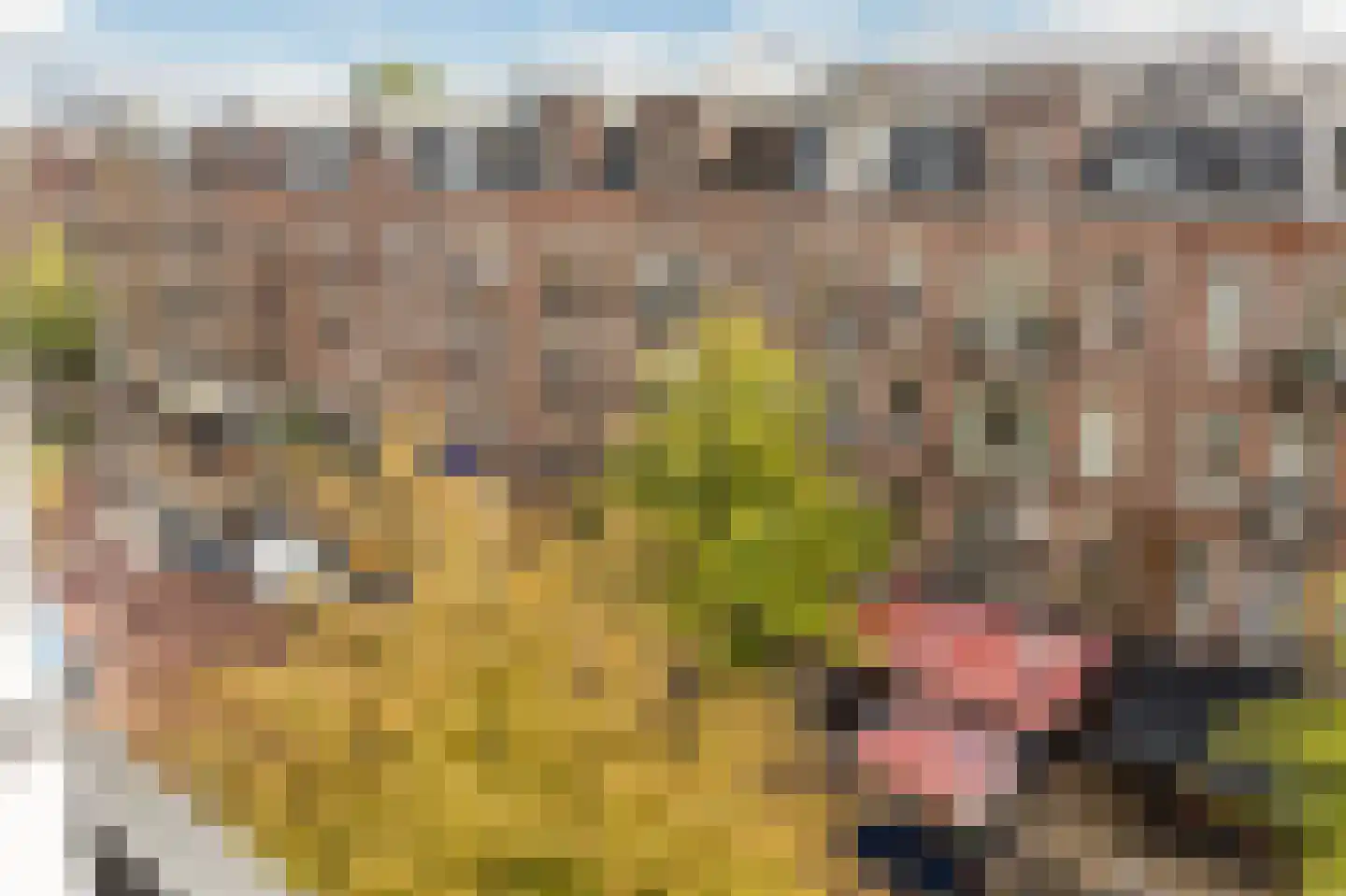 Javastraat 41 4B Amsterdam thumbnail 32