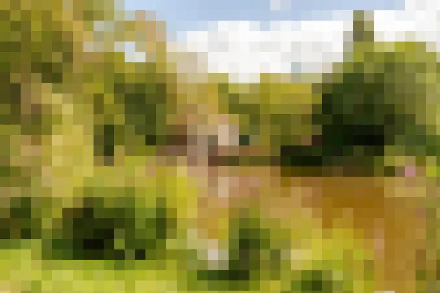 Javastraat 41 4B Amsterdam thumbnail 35