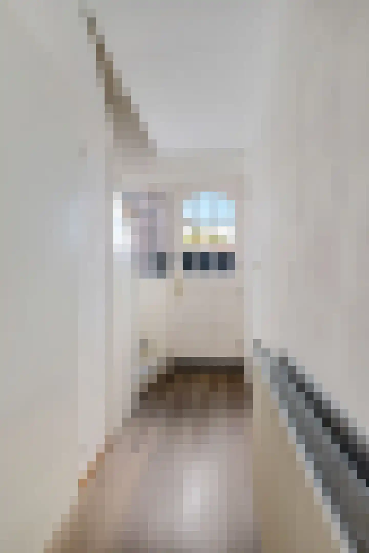 Javastraat 43 A Wormerveer thumbnail 6