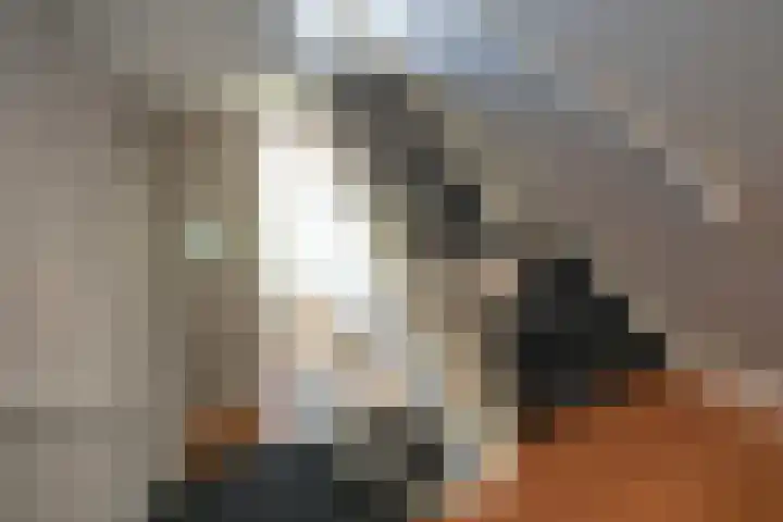 Javastraat 44 3 Den Haag thumbnail 11