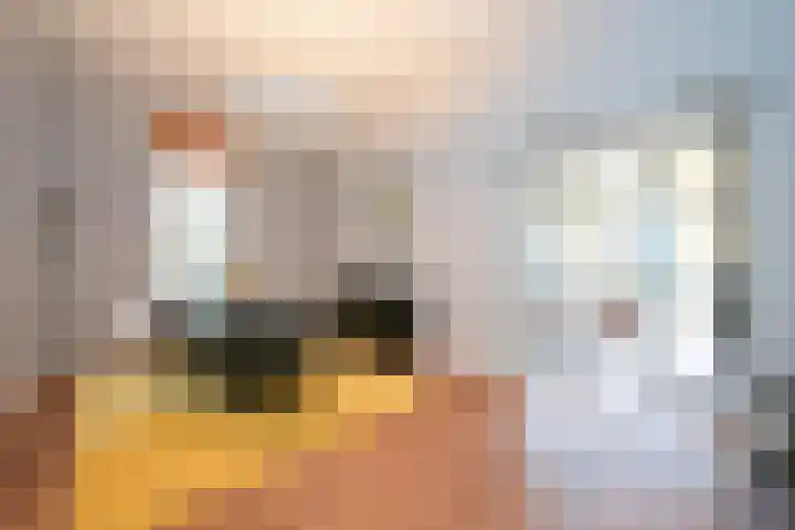 Javastraat 44 3 Den Haag thumbnail 32