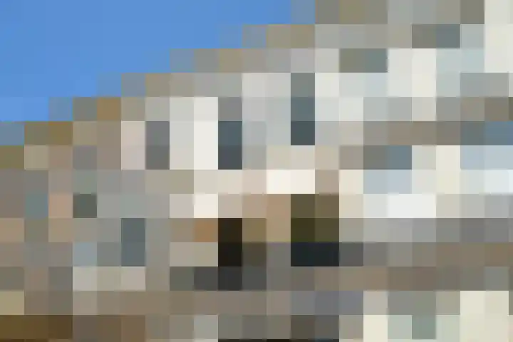 Javastraat 44 3 Den Haag thumbnail 48