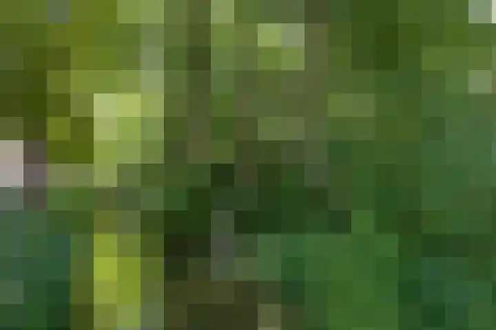 Javastraat 44 3 Den Haag thumbnail 52