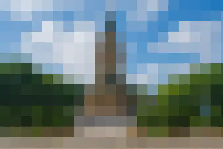 Javastraat 44 3 Den Haag thumbnail 53
