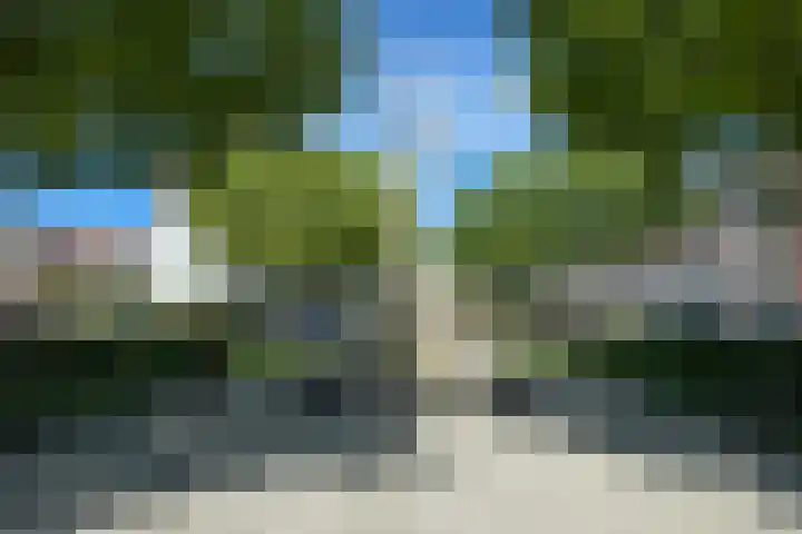 Javastraat 44 3 Den Haag thumbnail 54