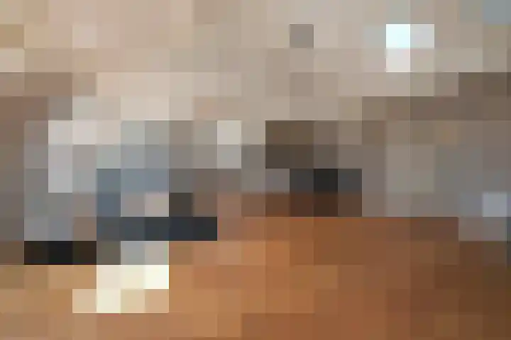 Javastraat 44 4 Den Haag thumbnail 14