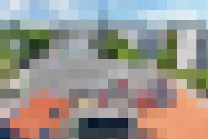 Javastraat 44 4 Den Haag thumbnail 36