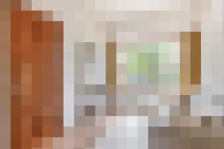 Javastraat 44 Vlaardingen thumbnail 10