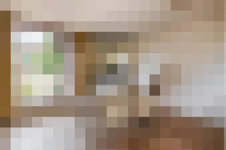 Javastraat 44 Vlaardingen thumbnail 13