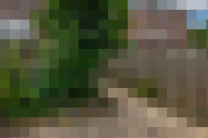 Javastraat 44 Vlaardingen thumbnail 23