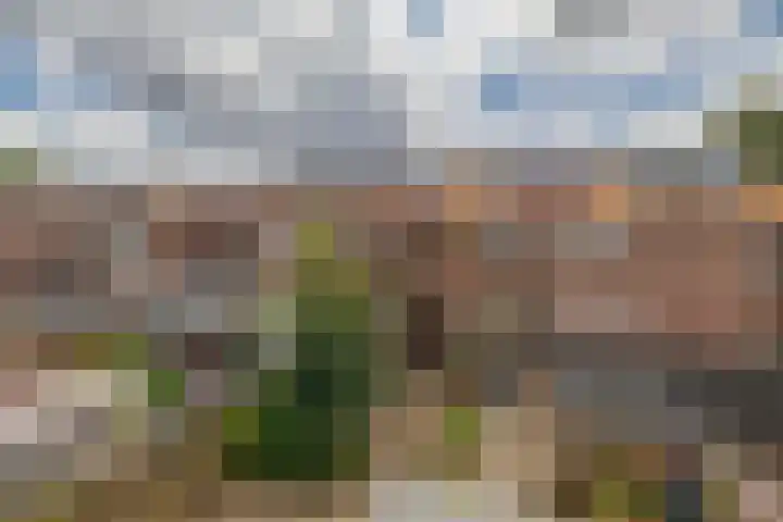 Javastraat 44 Vlaardingen thumbnail 25