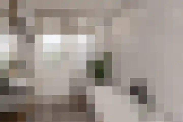 Javastraat 44 Vlaardingen thumbnail 32