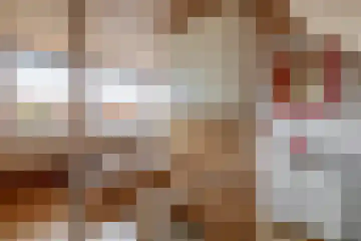 Javastraat 44 Vlaardingen thumbnail 39