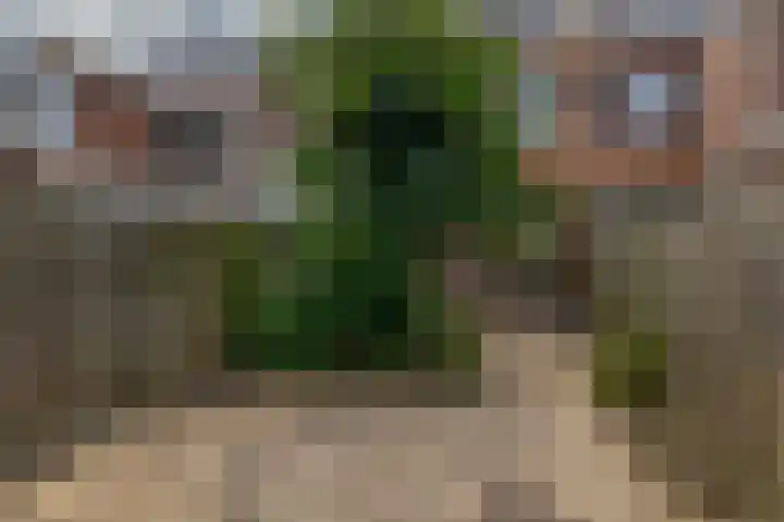 Javastraat 44 Vlaardingen thumbnail 4