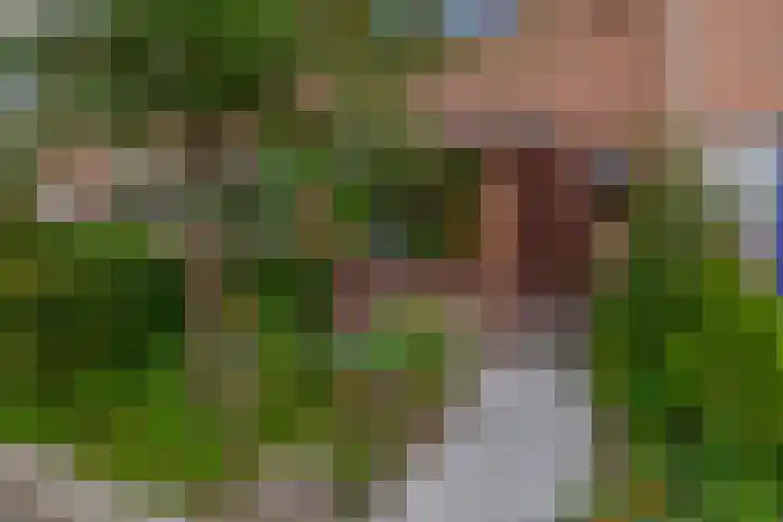 Javastraat 44 Vlaardingen thumbnail 6