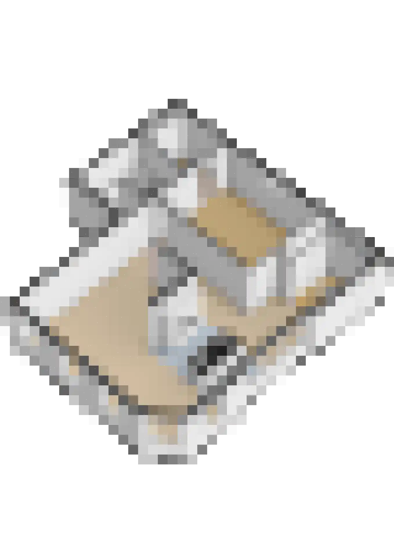 Javastraat 47 Wormerveer thumbnail 32