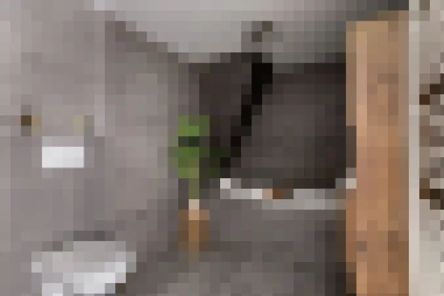 Javastraat 48 A Wormerveer thumbnail 15