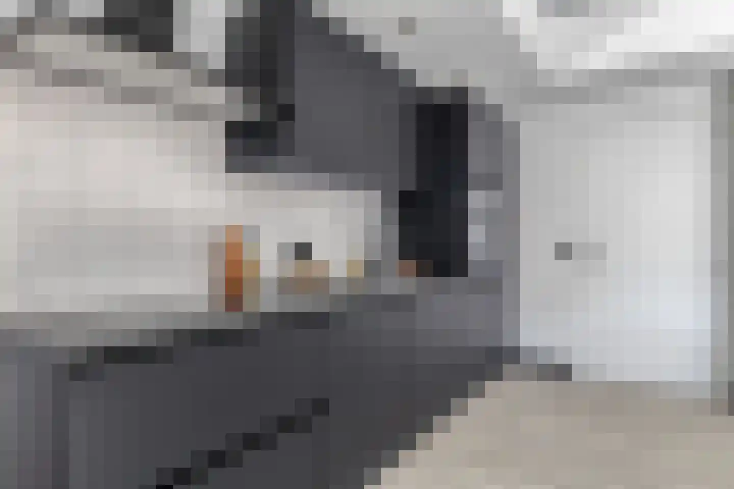 Javastraat 48 A Wormerveer thumbnail 7