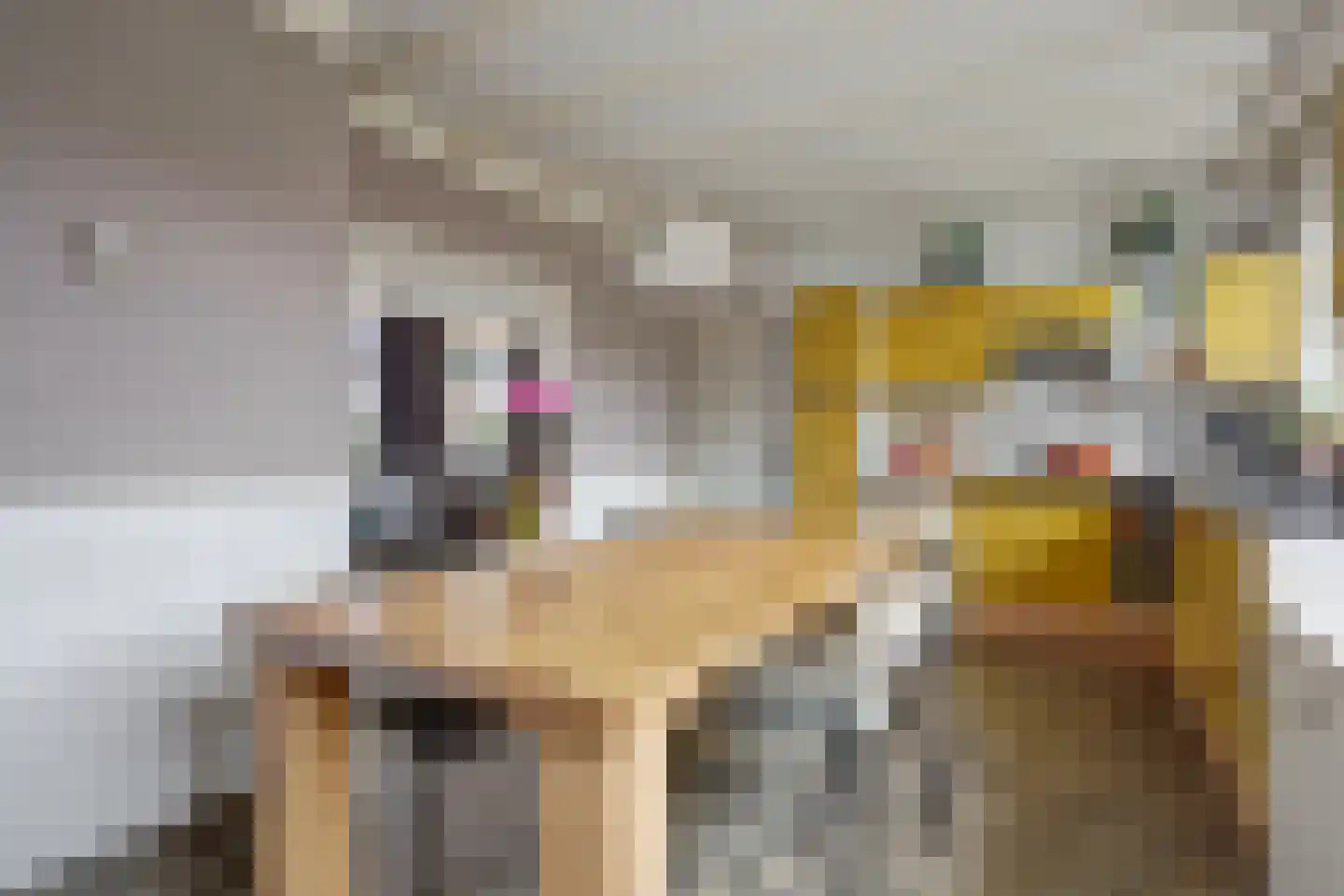 Javastraat 48 Hengelo thumbnail 15