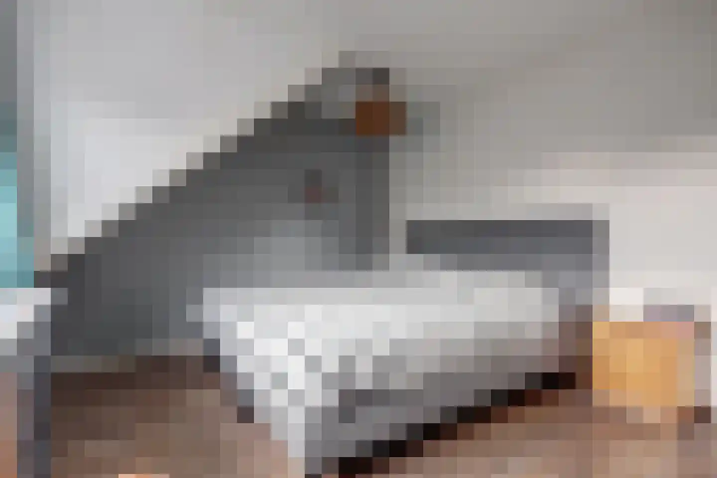 Javastraat 48 Hengelo thumbnail 23